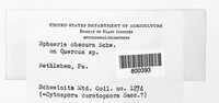 Image Associated With the Occurence
